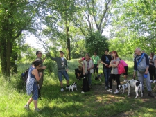 CAMMINATA PRIMAVERA 2014