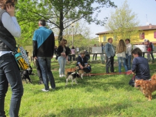 FESTA DEL CUCCIOLO 2014