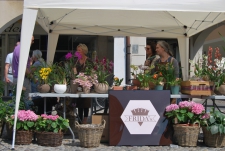 PIAZZA IN FIORE 2015