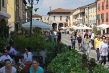 PIAZZA IN FIORE 2015